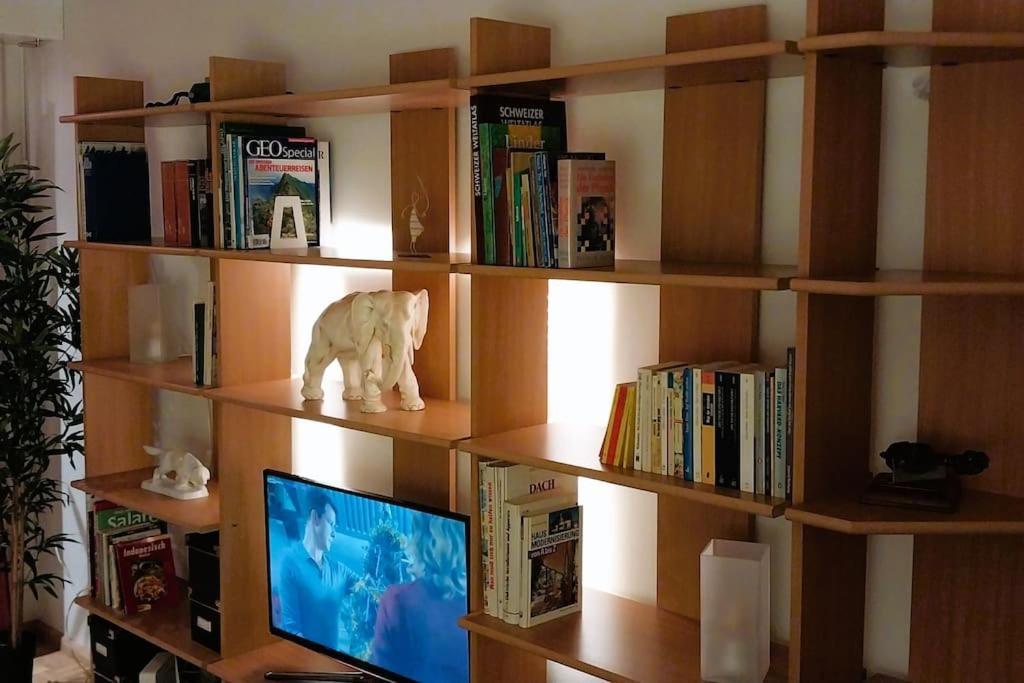 بازل Wohnung Im Beliebten Gundeldinger Quartier المظهر الخارجي الصورة